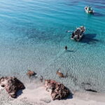 Porto-Vecchio: beginner diving in the Cerbicale Islands in the reserve - Meeting at Palombaggia Beach for a Smooth Start