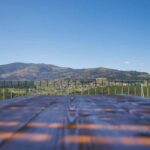 Porto: Vinho Verde Region Tour with 2 Wineries & Lunch - Starting Point and Transportation Details