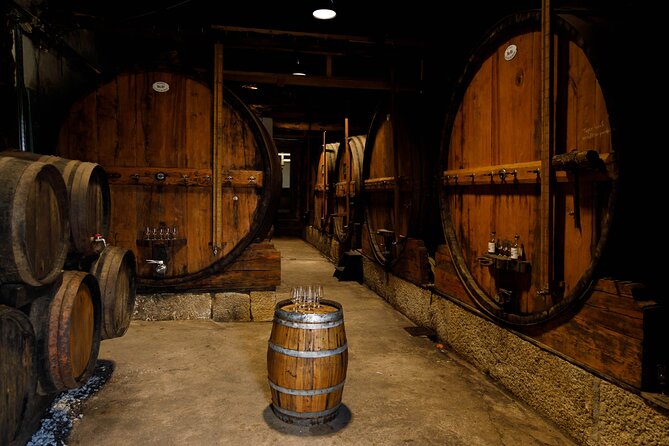 Porto Wine Tasting with GUIDED TOUR - What Makes the Porto Wine Tasting Stand Out