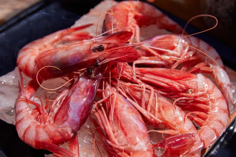 Portofino: boat tour with seawalker 33 - Starting Point and Easy Access at Molo in Margherita Ligure