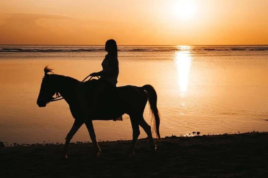 Portugal: Horseback Riding Tour with Wine - Practical Details: What to Bring and Not to Expect