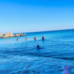 Portugal's Hidden Gems: Arrábida, C Espichel & Sesimbra Tour - Visiting Arrábida Natural Park: A Colorful Landscape of Blue and Green