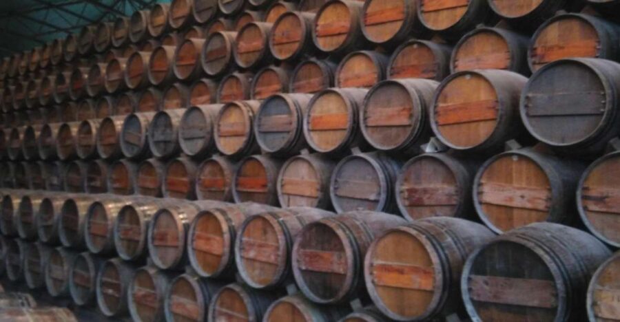 Portuguese Wine History & Amazing Landscape - Exploring Palmela Castle and Its Panoramic Views