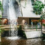 Potsdam: Biosphäre Potsdam Entry Ticket - Exploring the Indoor Tropical Garden in Potsdam