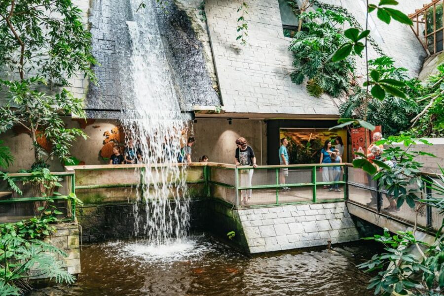 Potsdam: Biosphäre Potsdam Entry Ticket - Exploring the Indoor Tropical Garden in Potsdam