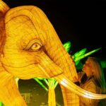 Prague: Garden of Lights Entry Ticket - The Garden of Lights: An Artistic Display of Light and Color