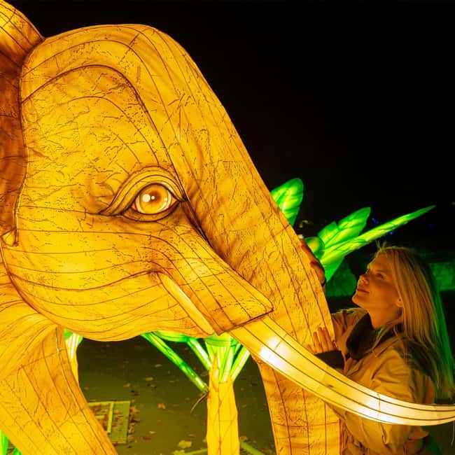 Prague: Garden of Lights Entry Ticket - The Garden of Lights: An Artistic Display of Light and Color