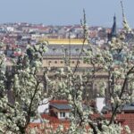 Prague Literary & Historical Tours - Literature Route - The Guide Fergus: A Storyteller with Deep Knowledge