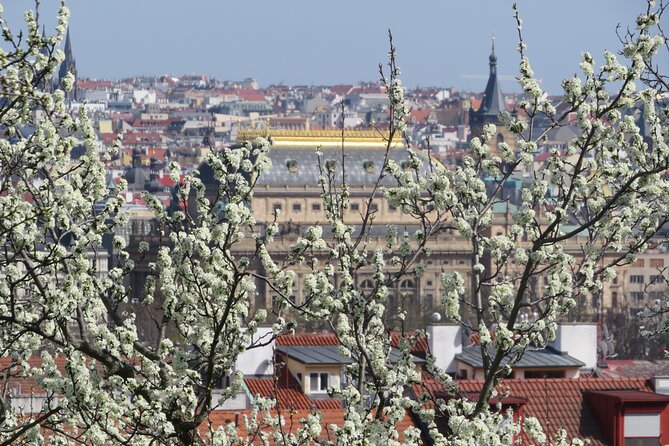 Prague Literary & Historical Tours - Literature Route - The Guide Fergus: A Storyteller with Deep Knowledge