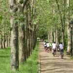 Prague: Stunning Viewpoints, Castle, City & Park E-Bike Tour - Exploring Prague Castle and Its Royal Gardens