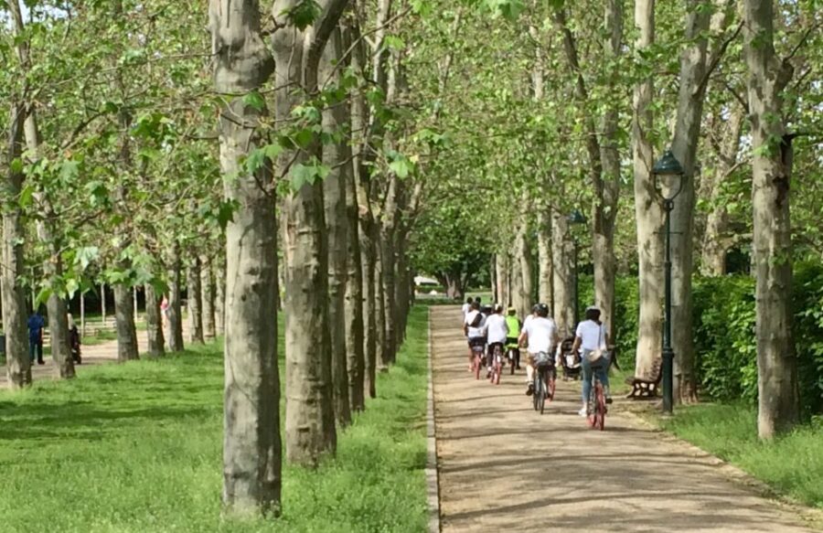 Prague: Stunning Viewpoints, Castle, City & Park E-Bike Tour - Exploring Prague Castle and Its Royal Gardens