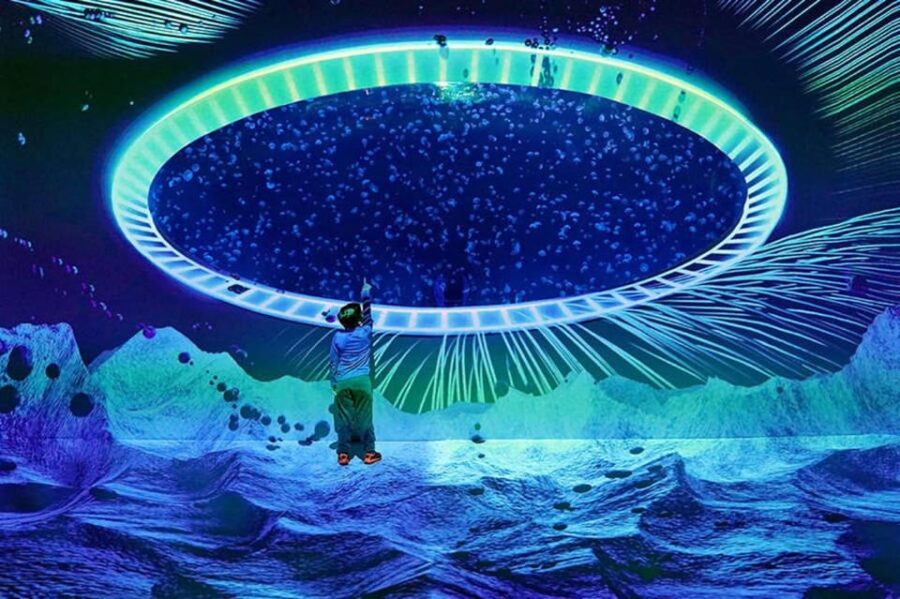 Prague: The World Of Jellyfish Entry Ticket w/ Drink - Exploring 38 Aquariums Filled with Over 30 Jellyfish Species