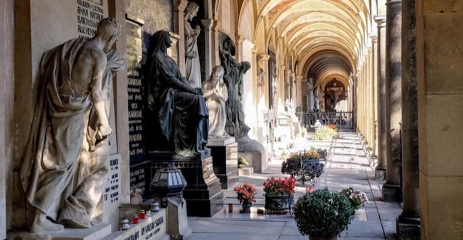 Prague: Vyserad Medieval Castle and Pragues TV Tower - Visiting Vyserad Castle: A Medieval Fortress Overlooking the Vltava