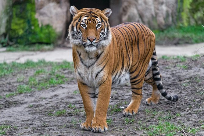 Prague Zoo Admission Ticket including Round Trip Transfer - Exploring Prague Zoo’s 140-Acre Campus and Animal Exhibits