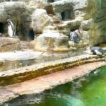 Prague Zoo Online Audio Guide (No ticket) - Starting Point and How to Access the Audio Guide