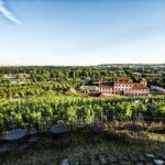 Prague´s Hidden Vineyards Private Tour - Guided Wine Tasting with Cheese Pairing