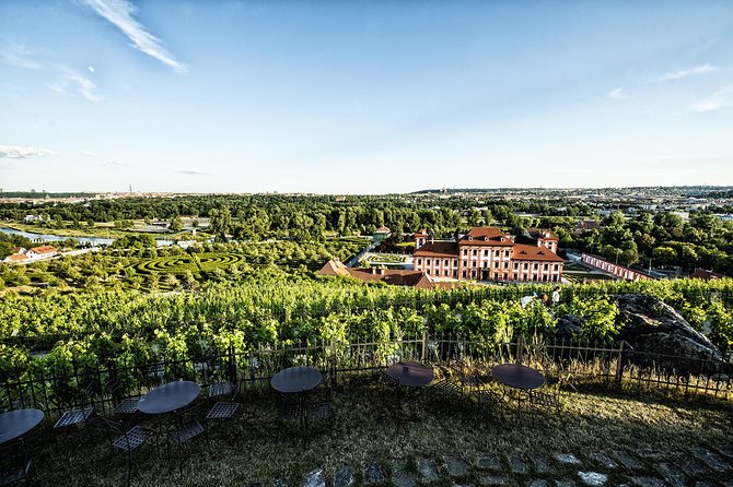 Prague´s Hidden Vineyards Private Tour - Guided Wine Tasting with Cheese Pairing