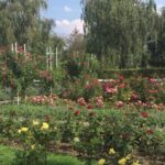 Pragues secrets of famous lovers. Romantic walking tour - Starting at Karlovo náměstí for an Introduction to Prague’s Romantic Past