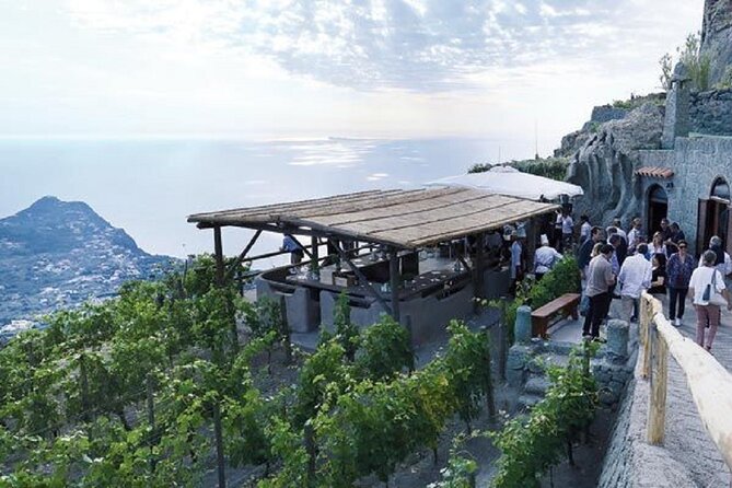Premium Ischia Wine Tasting Experience with Transfer Included - Vineyard Guided Tour: Discovering Ischia’s Winemaking Roots