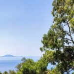 Premium private trip to Gibraltar from Seville (multiple options) - Comfortable Private Transportation and Guided Tour