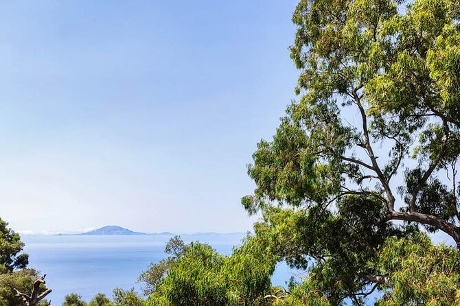 Premium private trip to Gibraltar from Seville (multiple options) - Comfortable Private Transportation and Guided Tour