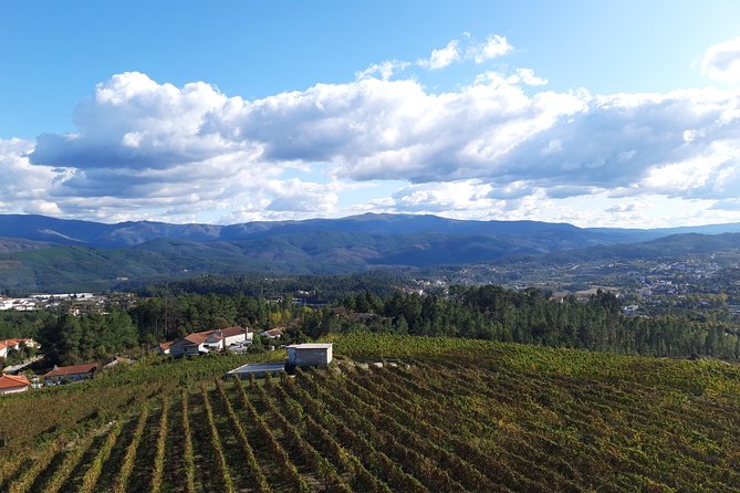 Premium Tasting | Quinta de Santa Cristina Vinho Verde - Starting Point at Quinta de Santa Cristina in Veade