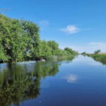 PREMIUM TOUR SMALL GROUP Bucharest-The Heart of Danube Delta - Comfortable Transportation from Bucharest to Tulcea