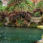 Preveli Beach and Damnoni Beach Full-Day Trip From Chania - Relaxing at Preveli Beach with Palm Forest and River