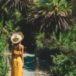Preveli Beach & Palm Forest :Full-Day Tour with Lunch Box - Visiting Kourtaliotis Gorge and Waterfalls