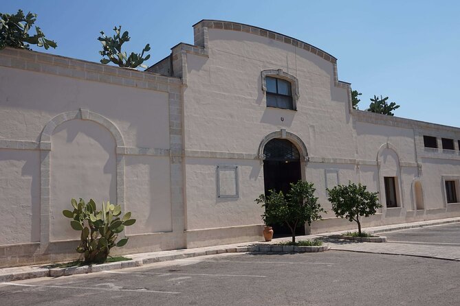 Primitivo and Negroamaro wine tour: a visit to two wineries and typical lunch. From Lecce - How the Tour Starts in Lecce and Includes Hotel Pickup