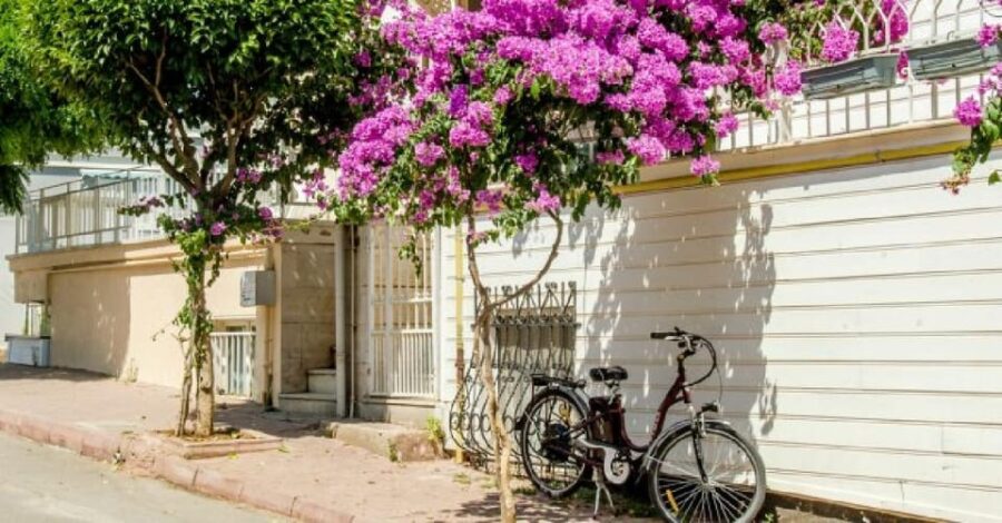 Prince's Island Group Tour - Starting with a Scenic Ferry Ride from Istanbul