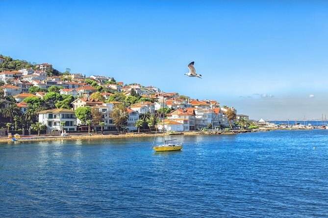 Princess Island Tour Full Day with Lunch - Scenic Ferry Ride to Büyükada and Historical Landmarks