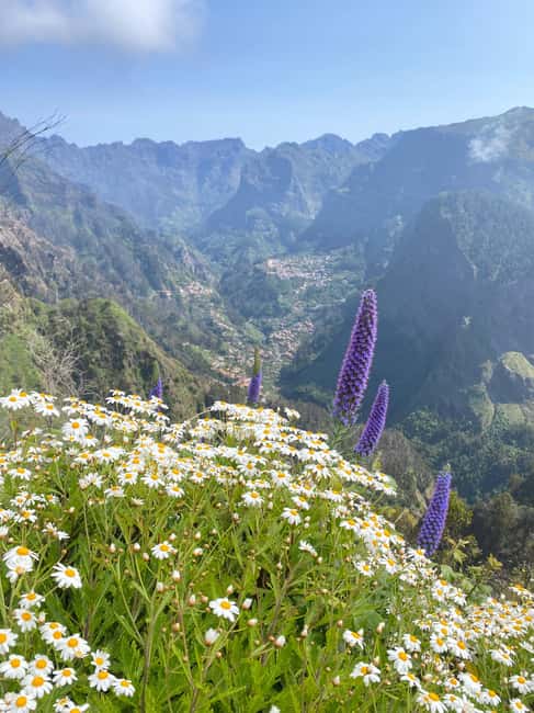 Private 4x4 Shore Excursion: Madeira Culture & Trails 4-6H - Practical Details and Logistics of the Madeira Off-Road Tour