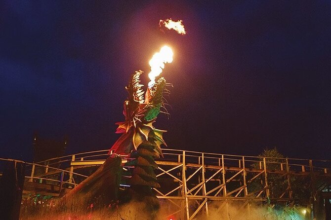 Private 8 hour day trip to the Efteling incl. entrance tickets - The Attractions and Entertainment at Efteling