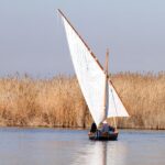 Private Albufera Day Trip: Paella, Boat Ride and Nature Trek - Discovering Albufera Natural Parks Scenic Landscape