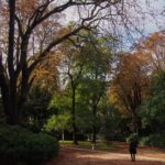 Private and authentic tour of the Latin Quarter (Paris) - Discovering the Pantheon’s Architectural Grandeur