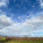 Private and customizable: Alsace Wine Route HIGHLIGHTS in 3 hours - Riquewihr and Its Medieval Rempart