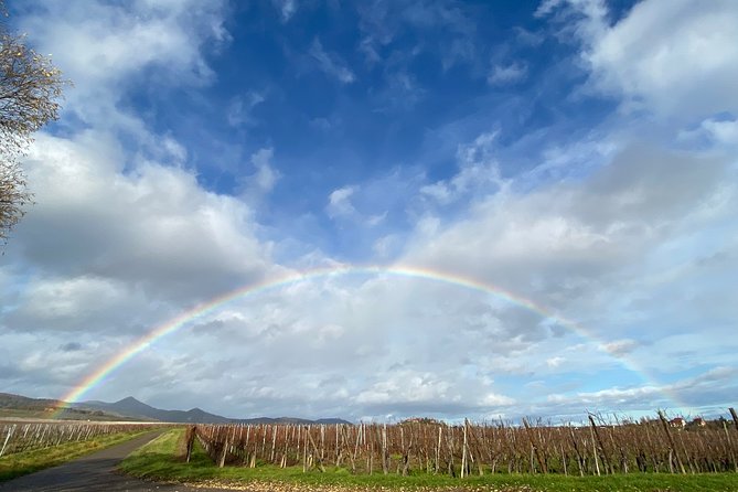 Private and customizable: Alsace Wine Route HIGHLIGHTS in 3 hours - Riquewihr and Its Medieval Rempart
