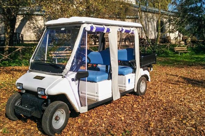 Private Appian Way (Appia Antica) Tour in Rome by Golf Cart - Driving Through Parco Regionale dellAppia Antica