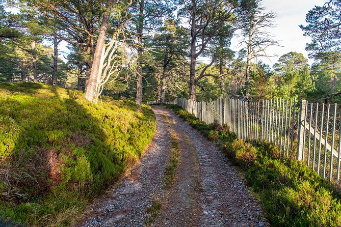 Private Balmoral Walking Tour to Queens Secret Cabin & the Castle - Starting from Aberdeen for a Fully Guided Day