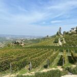 Private Barolo Wine Tour with Winemaker from Turin - Flexibility and cancellation policy