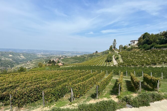 Private Barolo Wine Tour with Winemaker from Turin - Flexibility and cancellation policy