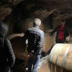 Private Beaujolais wine tour - The Logistics and Transport Experience