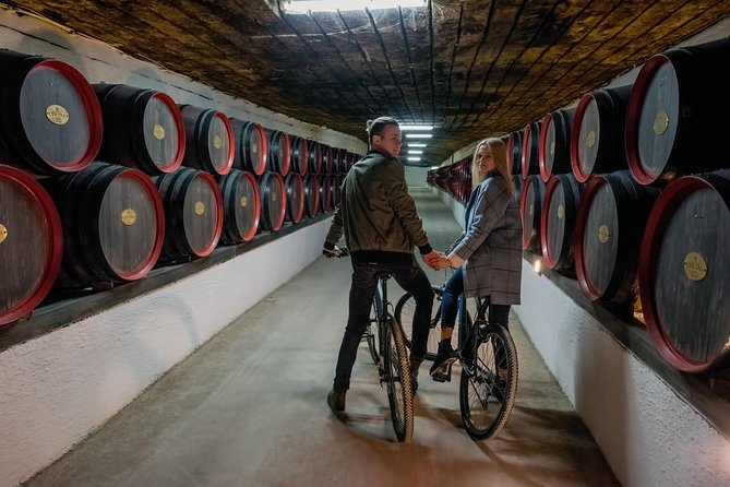 Private Bike Tour to Cricova Winery with wine tasting and lunch - Scenic Cycling Along Paved and Unpaved Roads