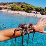 Private Blue Cave Tour from Split, Bra, Trogir and Hvar - Visiting the Blue Cave: A Natural Wonder