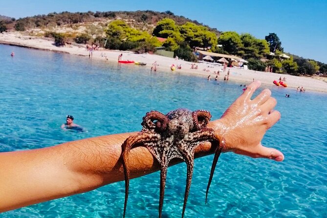 Private Blue Cave Tour from Split, Bra, Trogir and Hvar - Visiting the Blue Cave: A Natural Wonder