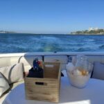 Private Boat Tour to Pte D. Luís 1h, up to 6px Sunset option - Starting Point at Marina da Afurada