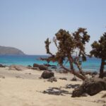 Private Boat trip from Sfakia to Elafonisi - Visiting Elafonissi Beach: Crete’s Pink Sands and Shallow Waters