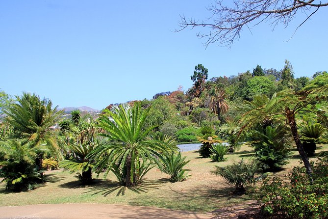 Private Botanical Garden Tour - Tour Stops: From the Central Market to the Madeira Botanical Garden
