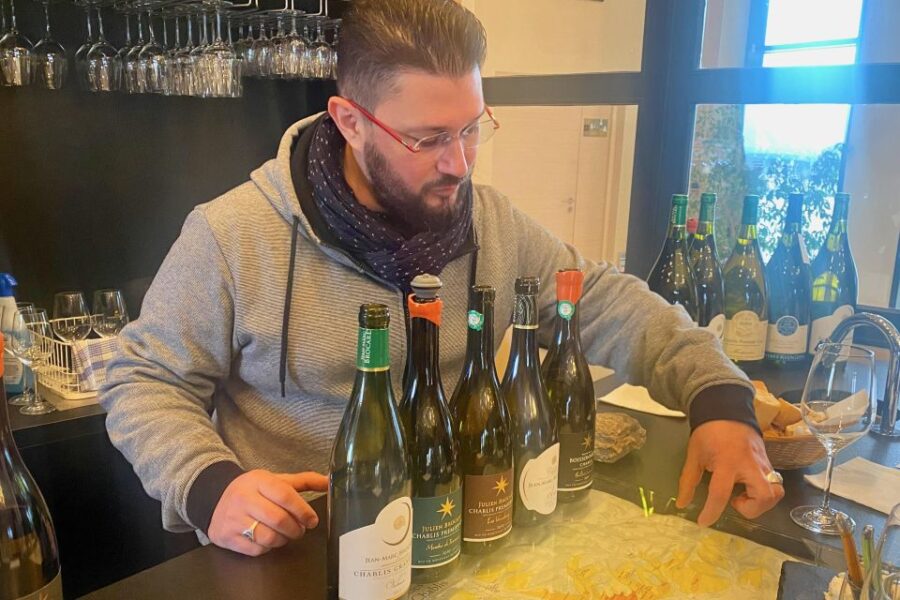 Private Burgundy 3 Domaines Chateau Pommard Chablis 15 Wines - Starting from Paris to Burgundy in Style